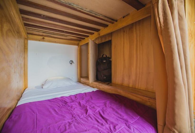 מיטה בחדר משותף, Viajero Paracas Hostel