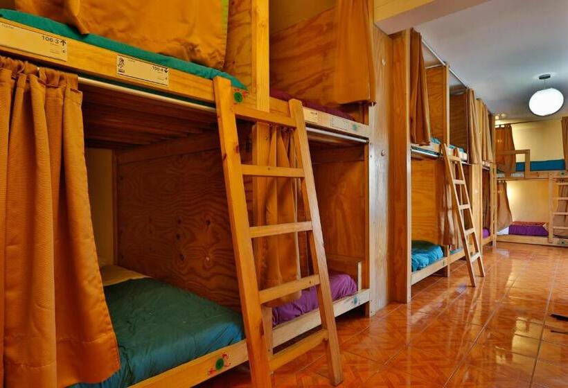 מיטה בחדר משותף, Viajero Paracas Hostel