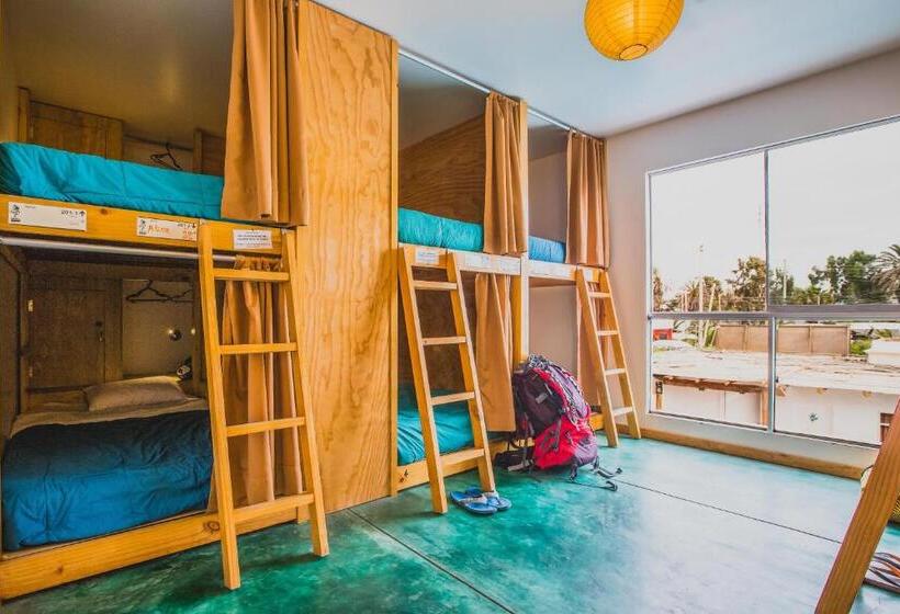 מיטה בחדר משותף, Viajero Paracas Hostel