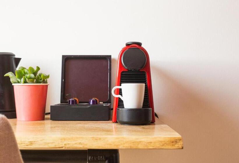 غرفة قياسية فردية, Snouck Van Loosen