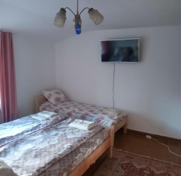 スタンダード4人部屋, Mercury Guest House