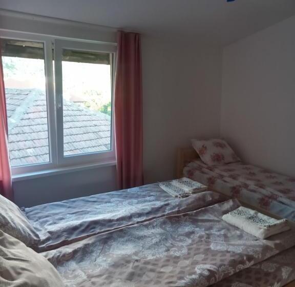 スタンダード4人部屋, Mercury Guest House