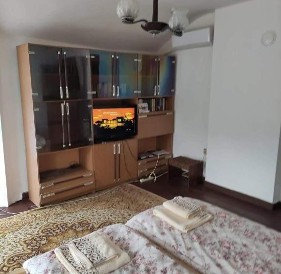 テラス付スタンダードルーム, Mercury Guest House