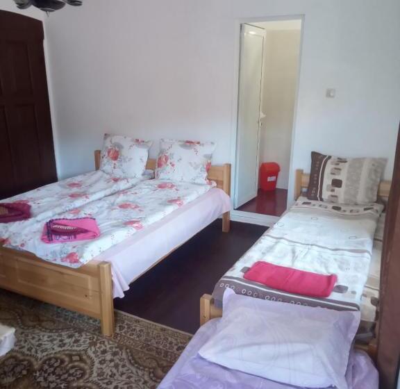 テラス付スタンダードルーム, Mercury Guest House