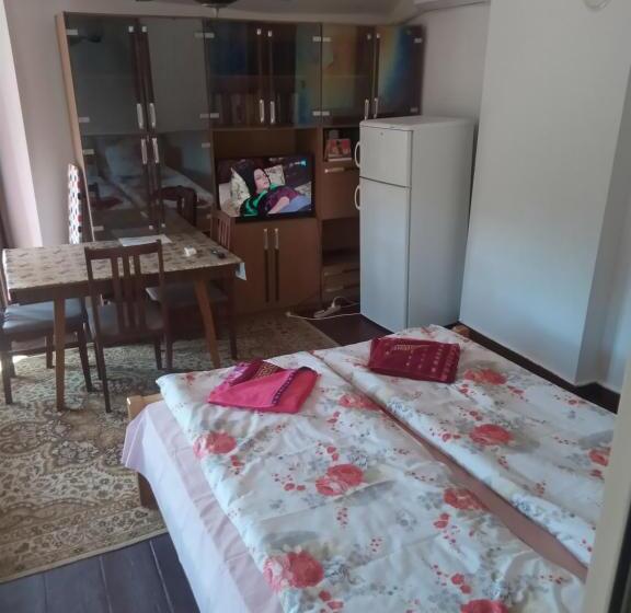 テラス付スタンダードルーム, Mercury Guest House