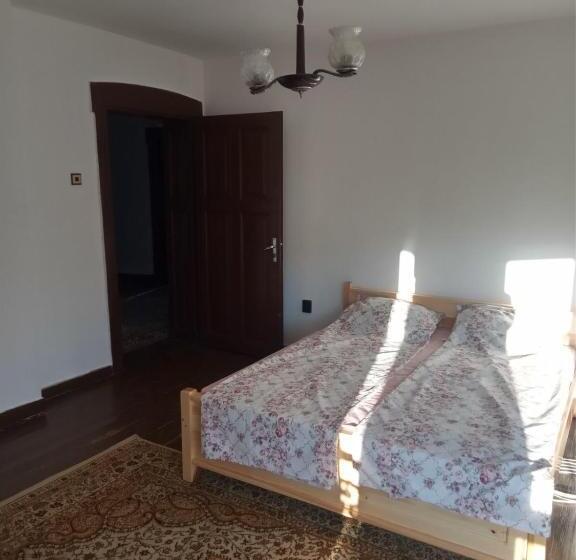 テラス付スタンダードルーム, Mercury Guest House