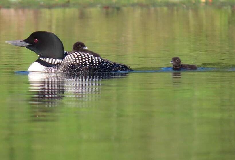标准间带阳台, Lake Shore Farm Inn