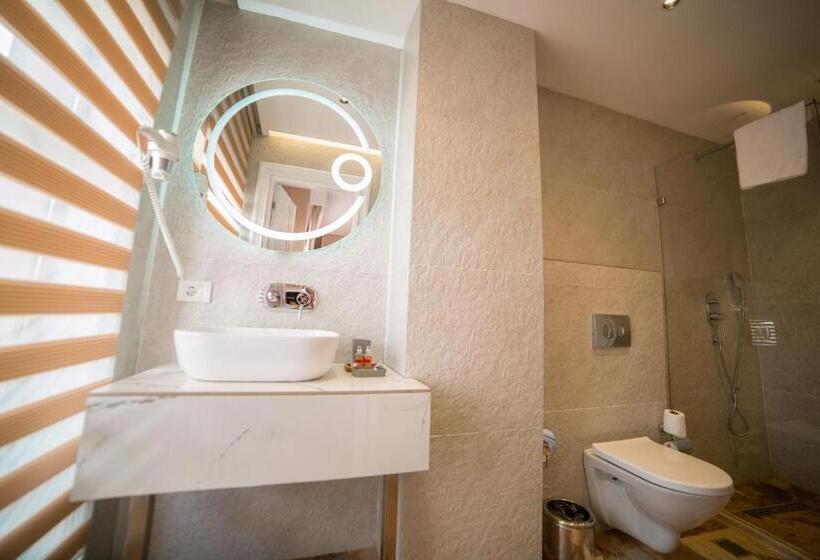 اتاق استاندارد, Parkway Inn Hotel & Spa