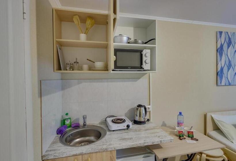 اتاق استاندارد, Yourhouse микрорайон 1, дом 76   экономичнее квартиры, уютнее гостиницы