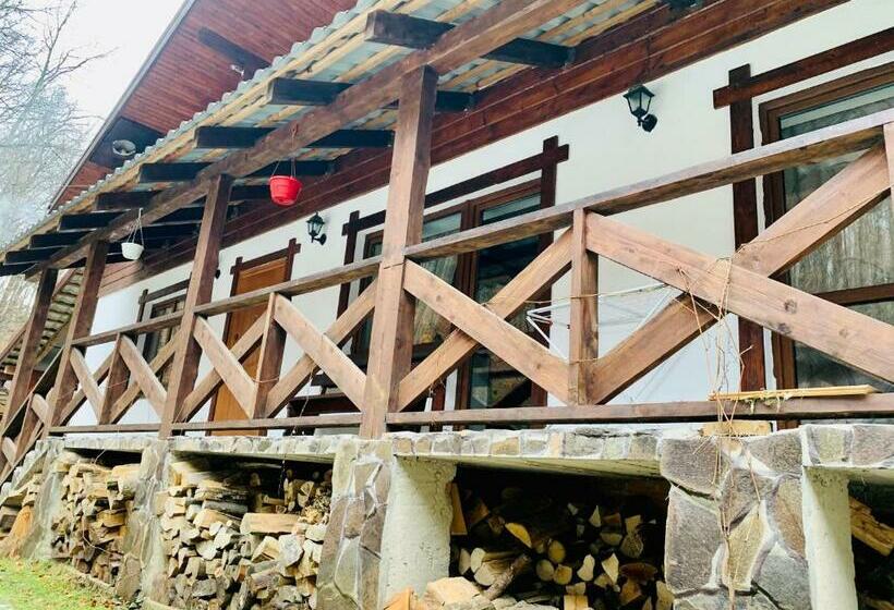 اتاق لوکس, Chalet Vedmezhe