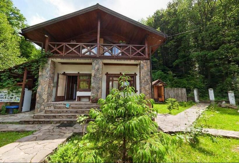 آپارتمان 2 خوابه, Chalet Vedmezhe