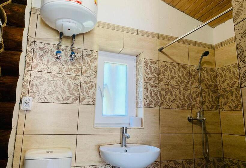 آپارتمان 1 خوابه با تراس, Chalet Vedmezhe