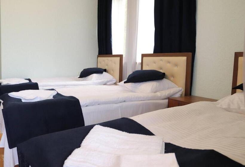 חדר סטנדרט לשלושה, Dzorak