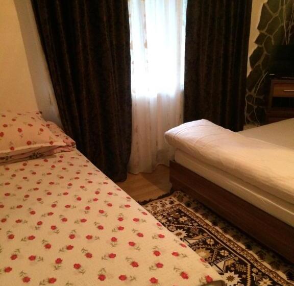 חדר קומפורט לשלושה, Casa Ionela Petreus