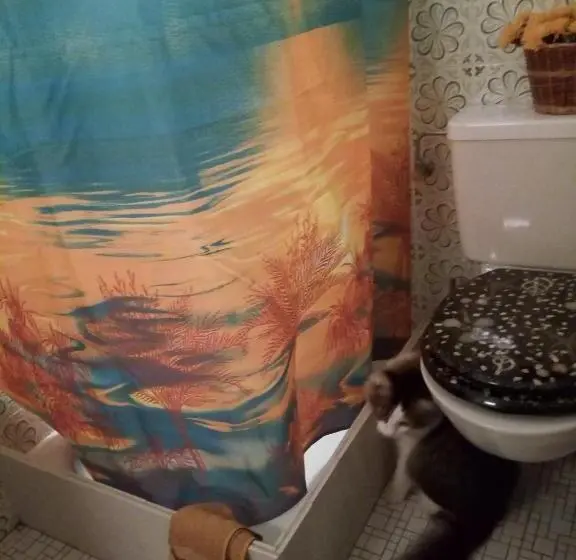 スタンダードルーム, Gastzimmer Für übernachtung гостевая комната