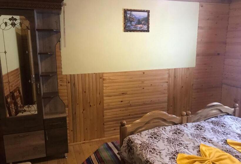 Номер Стандарт Вид на Горы, Shelest Vody