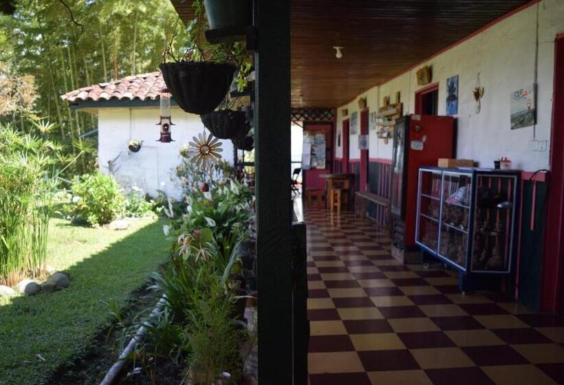 Familiekamer, Ecolife Calima