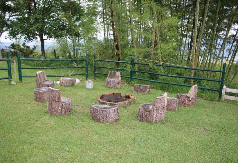 Семейный Номер, Ecolife Calima