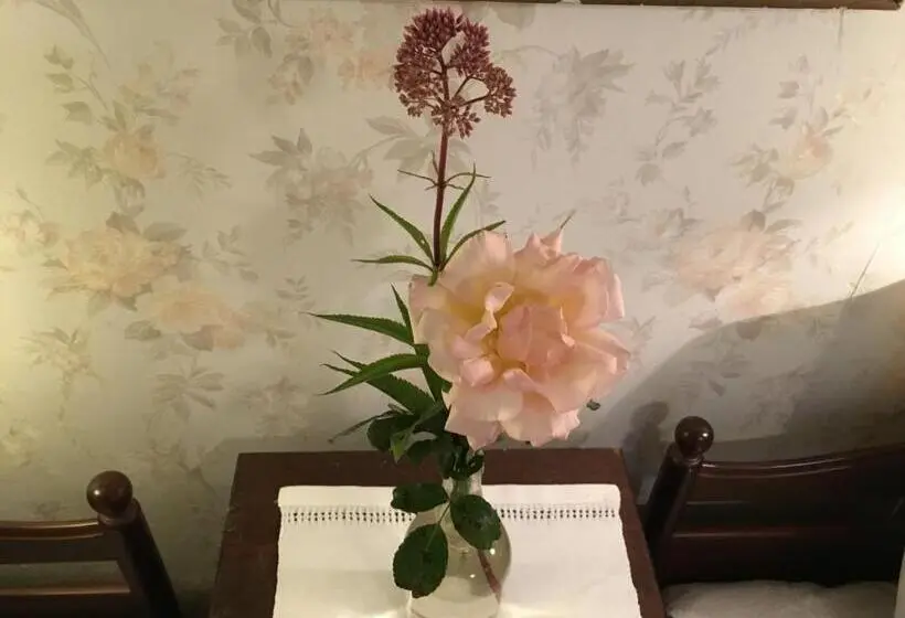プールビュースタンダードルーム, Berte Bed&breakfast