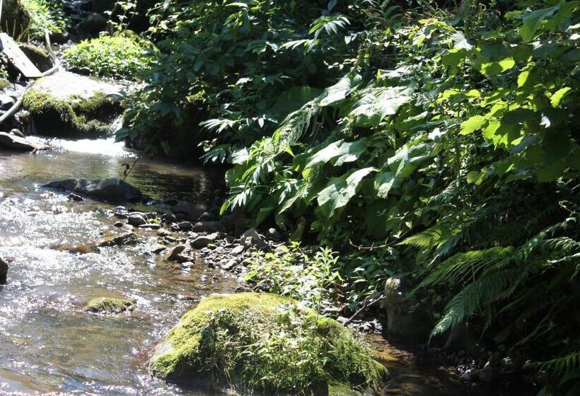 اتاق لوکس, Apartment Murad