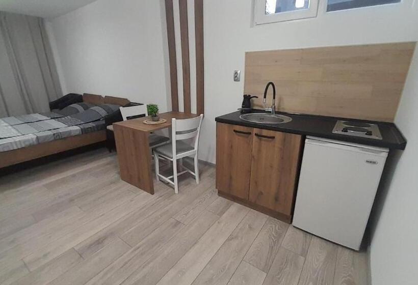 آپارتمان 1 خوابه با چشمانداز باغ, Tija Apartments