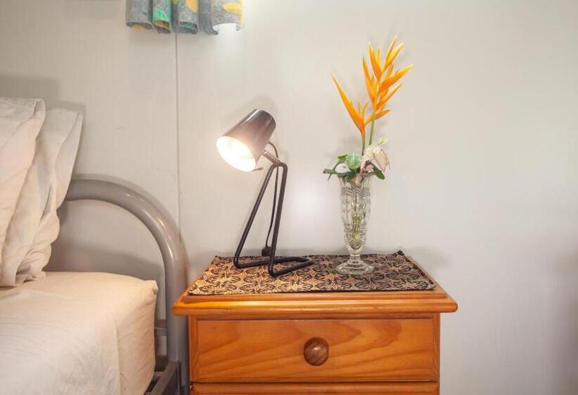 标准单人间, The Greenhoose