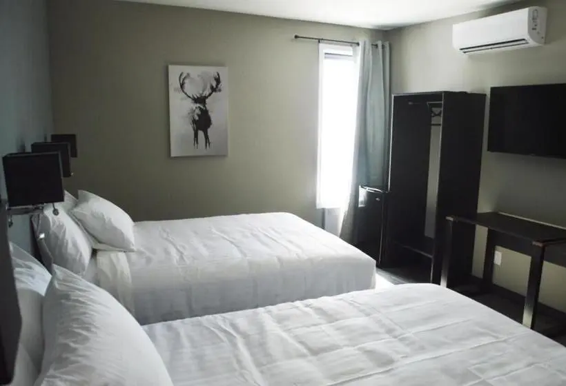 スーペリアールーム, Motel Hotelia