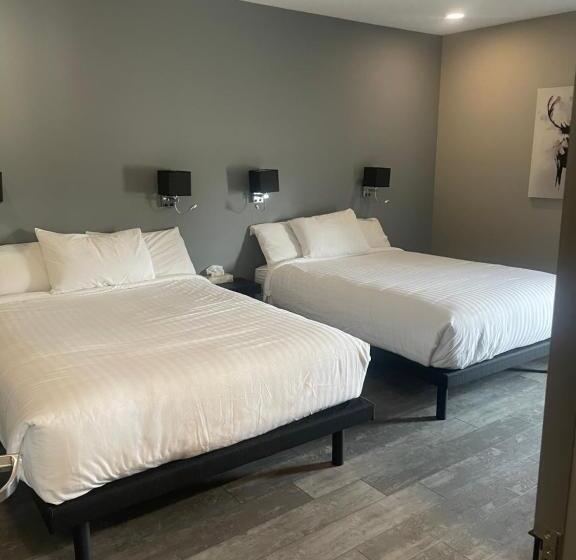 Номер Superior, Motel Hotelia