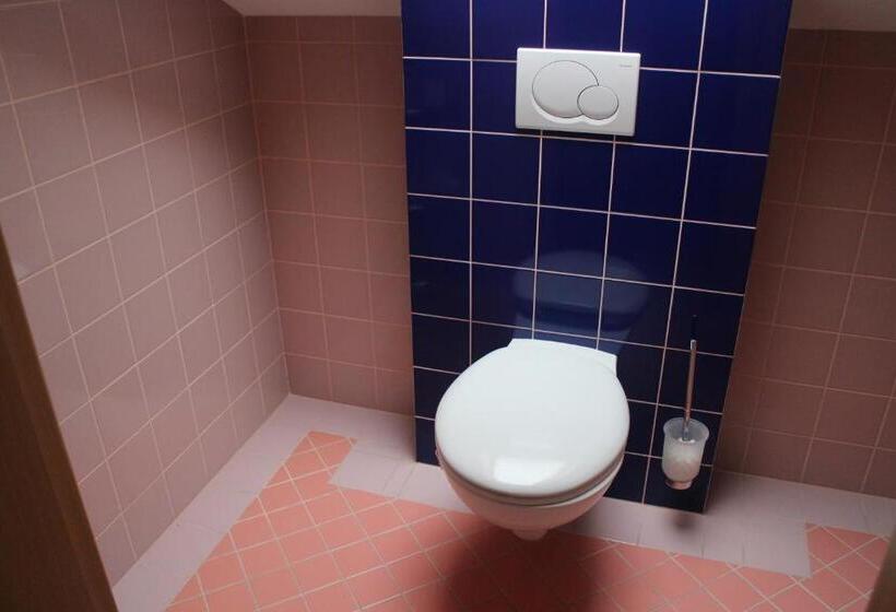 شقة غرفة واحدة, Pension Janka Kdyně