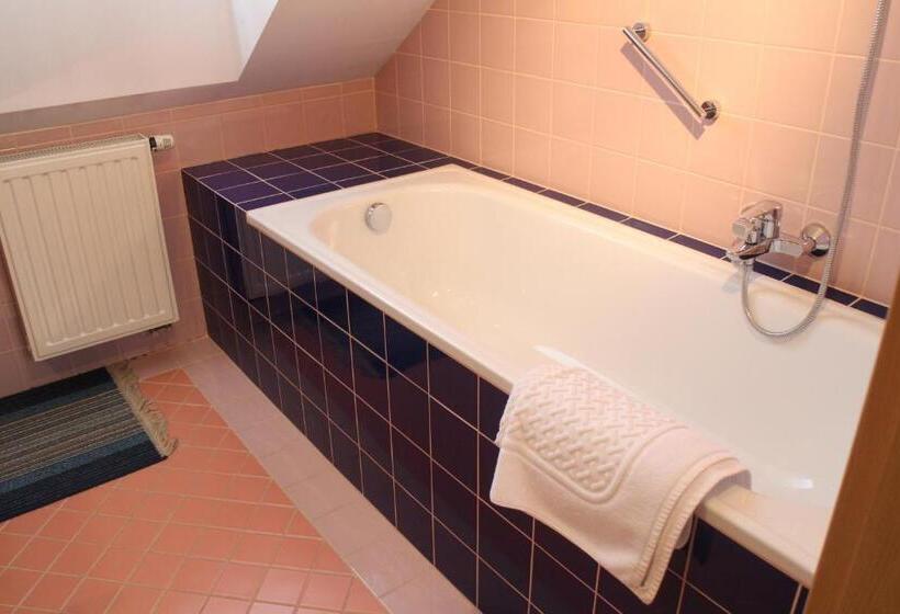 דירת חדר, Pension Janka Kdyně