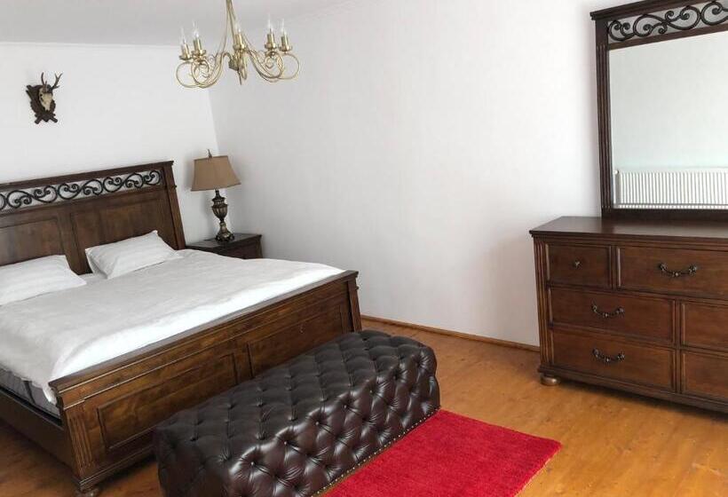 Апартаменты 1 Спальня Нижний Этаж, Pensiunea Valea Gepisului