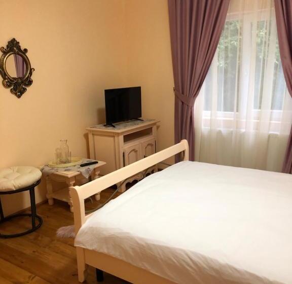 Номер Стандарт, Pensiunea Valea Gepisului