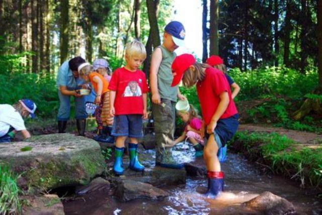 Апартаменты 1 Спальня, Type Scout 42