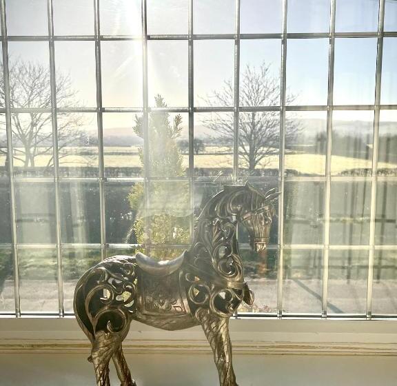 غرفة قياسية, The King & Queen