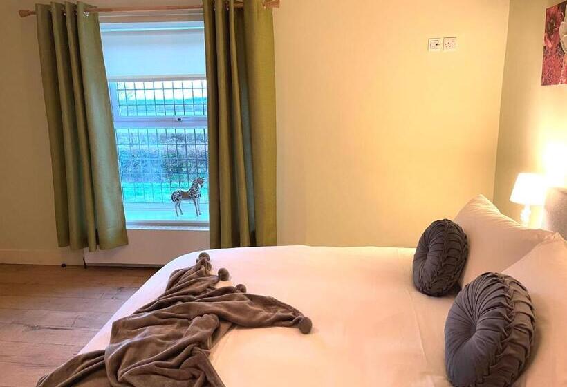 غرفة قياسية, The King & Queen