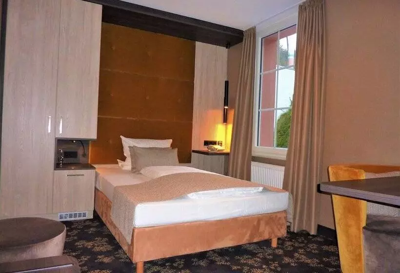 スタンダードシングルルーム, Akzent Waldhotel Rheingau