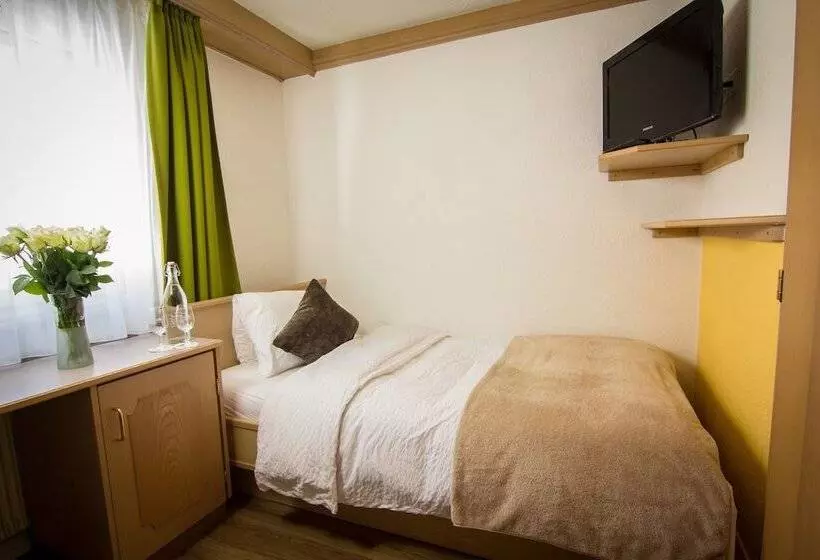Habitación Estàndard Individual, Bristol