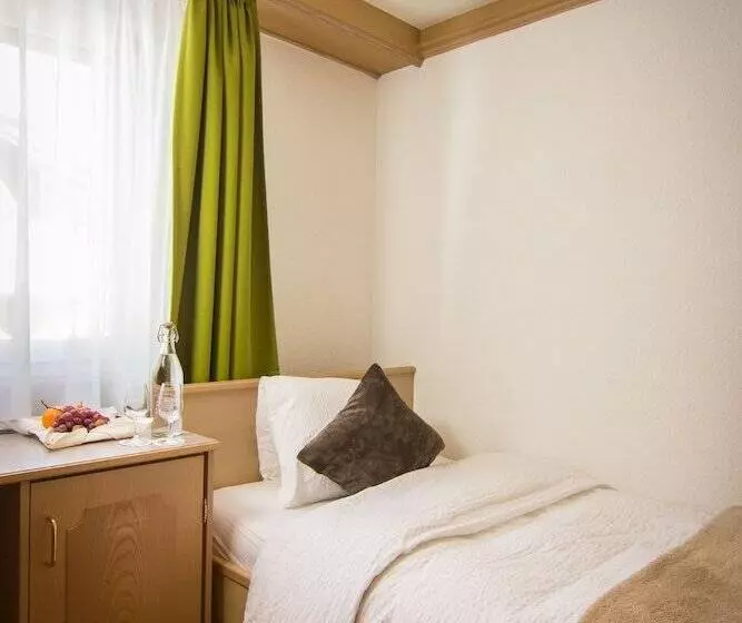 Habitación Estàndard Individual, Bristol