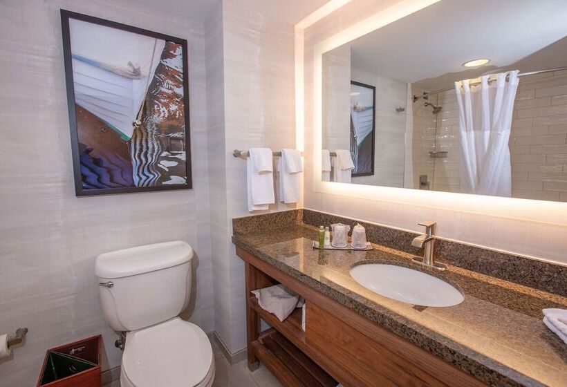 غرفة قياسية سرير مزدوج مطلة على المدينة, Doubletree By Hilton Bay City Riverfront