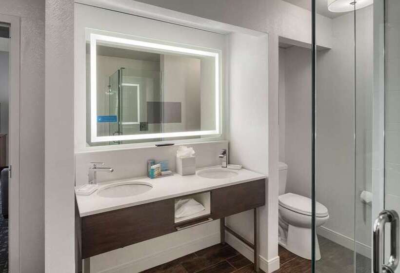 带大床的套房, Embassy Suites By Hilton Destin Miramar Beach