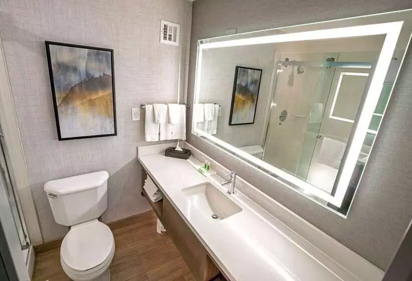سوئیت با تخت بزرگ, Embassy Suites By Hilton Destin Miramar Beach