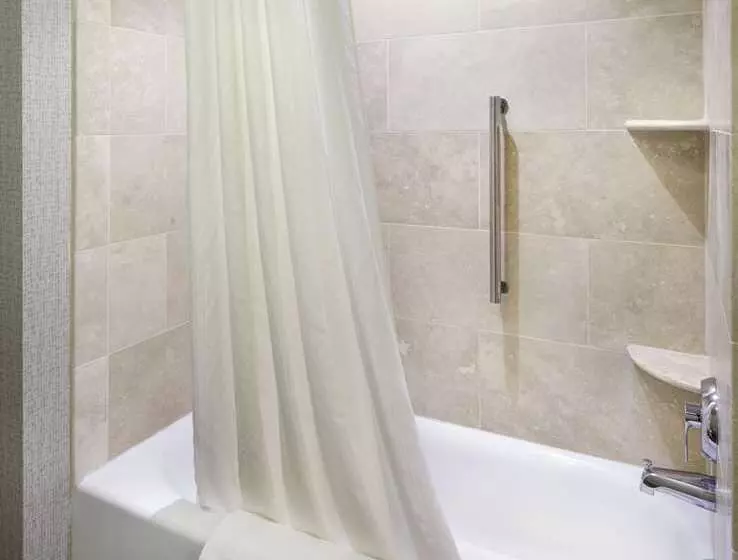 سوئیت با تخت بزرگ, Embassy Suites By Hilton Destin Miramar Beach