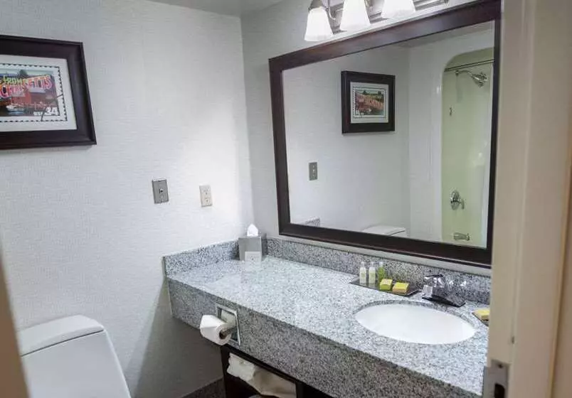 سوئیت با تخت بزرگ, Embassy Suites By Hilton Destin Miramar Beach