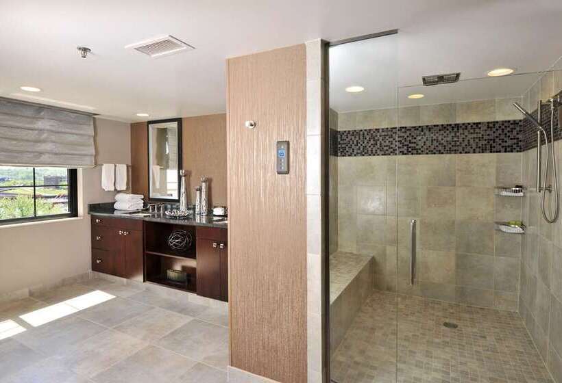 سوئیت با تخت بزرگ, Embassy Suites By Hilton Dulles North Loudoun