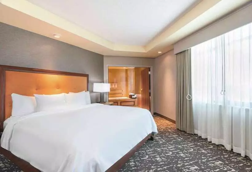 キングサイズベッドのスイートルーム, Embassy Suites By Hilton Dulles North Loudoun