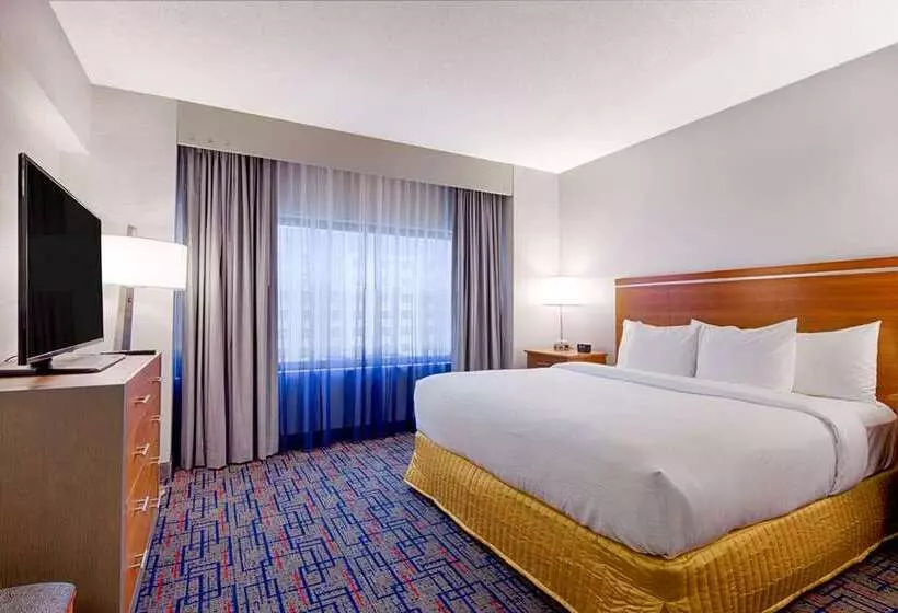キングサイズベッドのスイートルーム, Embassy Suites By Hilton Dulles North Loudoun