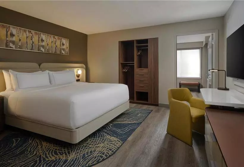 キングサイズベッドのスタンダードルーム, Embassy Suites By Hilton Dulles North Loudoun