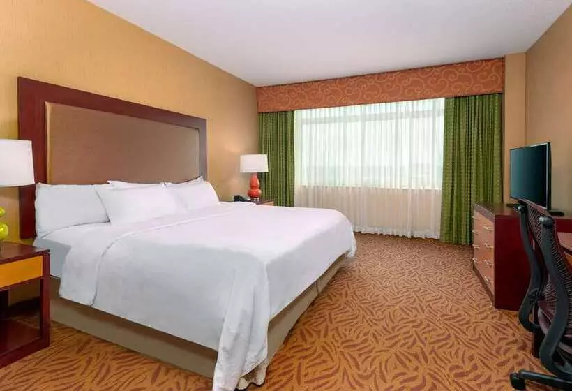 キングサイズベッドのスイートルーム, Embassy Suites By Hilton Dulles North Loudoun