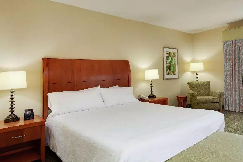 キングサイズベッドのスタンダードルーム, Hilton Garden Inn At Pga Village / Port St. Lucie