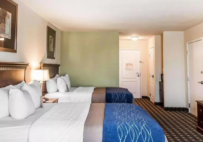 スタンダードルーム, Hilton Garden Inn At Pga Village / Port St. Lucie